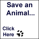 iGive Save an Animal