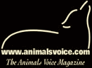 The Animals Voice magazine