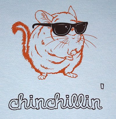 Chinchillin