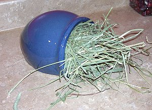 hay feeder
