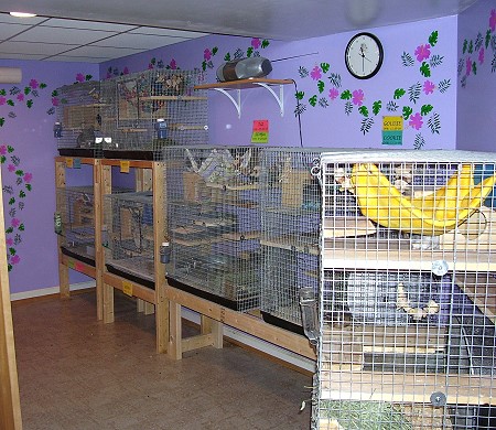 Our rescue room 1