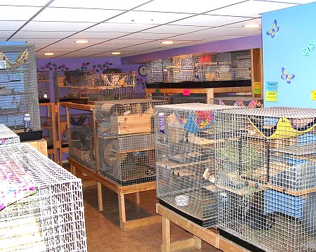 Our rescue room 4