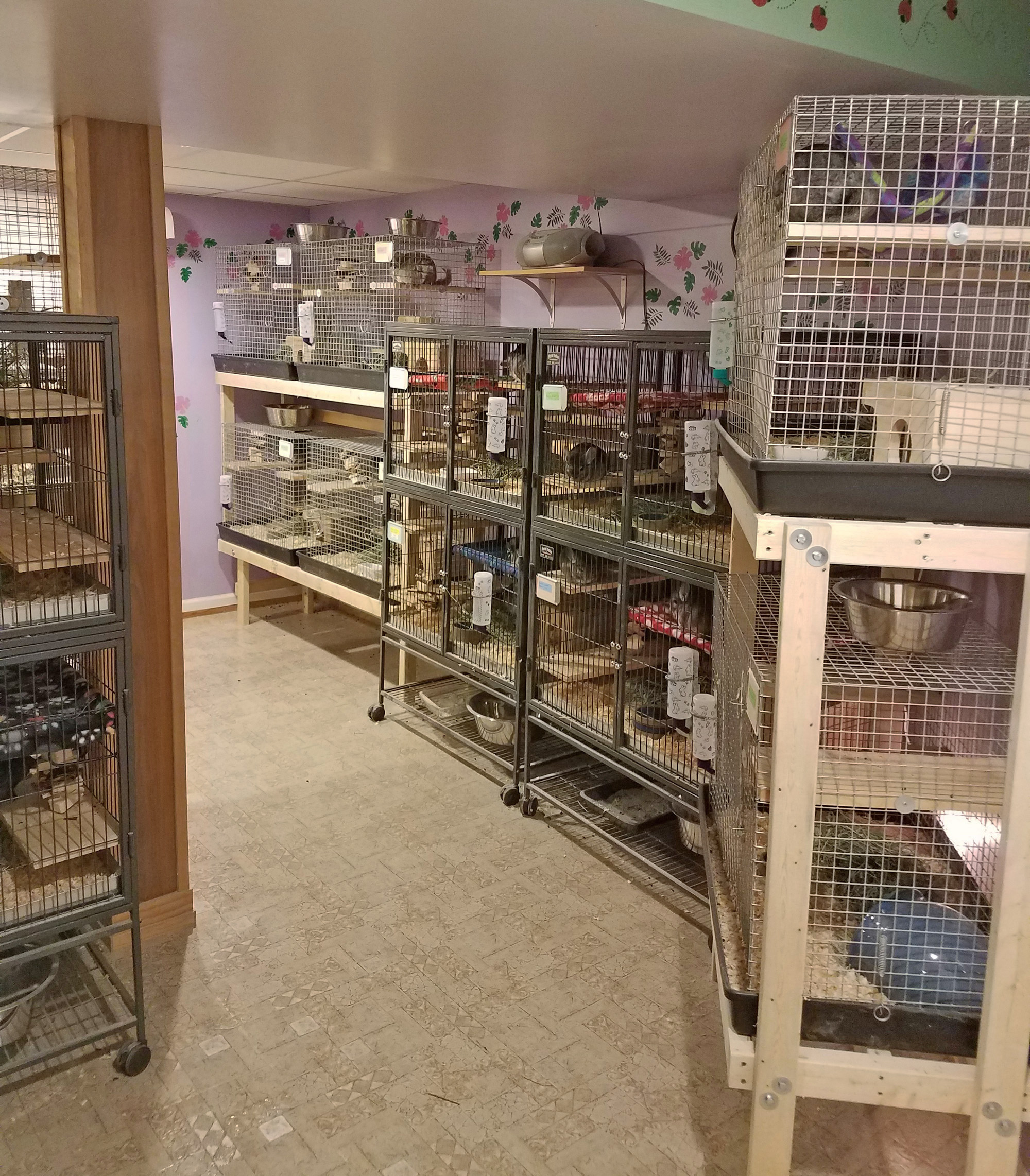 Our Rescue Kitchen