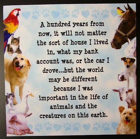 Animal Magnet Important to the Animals of the Earth Magnet