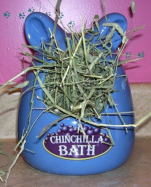 chinchilla bath hay feeder