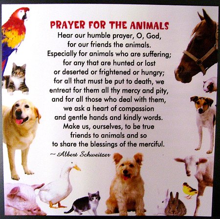 Prayer for the Animals Magnet Prayer for the Animals Magnet